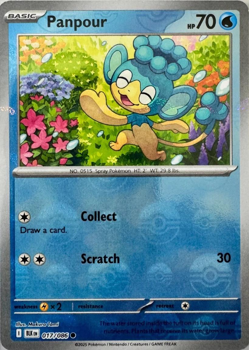 Black Bolt Panpour [Poke-Ball] Pokémon card